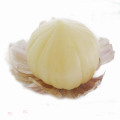 China farm fresh solo garlic